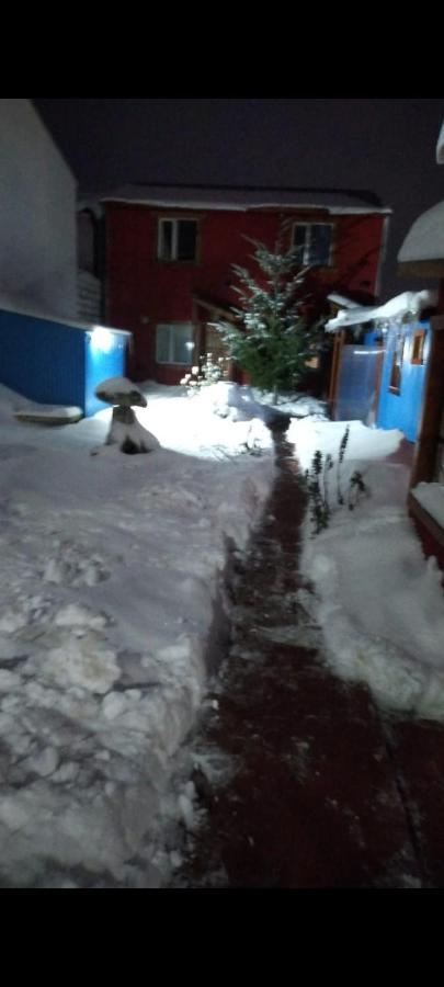 Ushuaia Centro Complejo De Cabanas Dış mekan fotoğraf